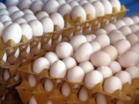 Huevos
